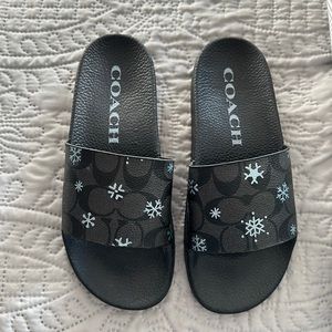 Coach slides